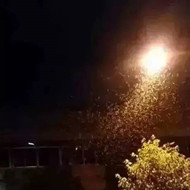 白蟻危害大，4-6月份進入其活躍期 防治白蟻不容忽視！